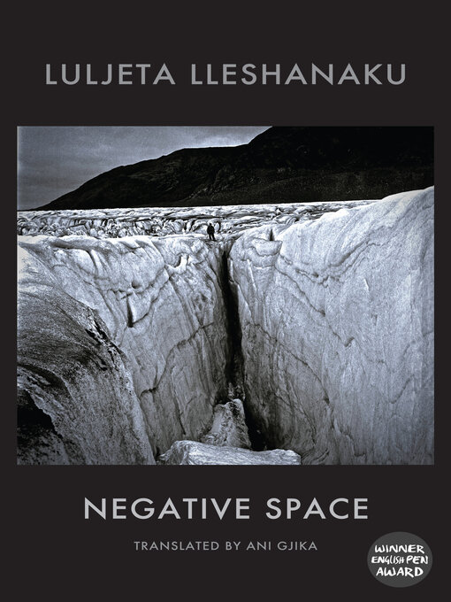 Title details for Negative Space by Luljeta Lleshanaku - Available